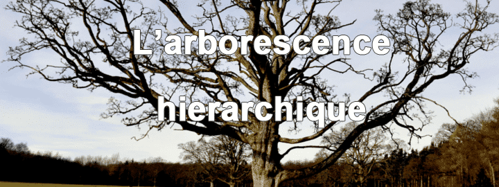 arborescence-hierarchique