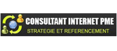 Consultant internet PME