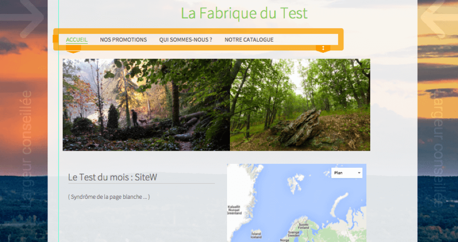 test complet sitew homepage
