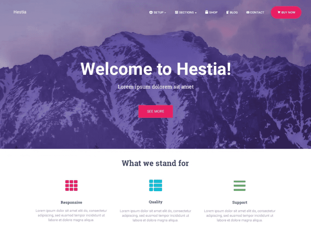 hestia template ecommerce wordpress