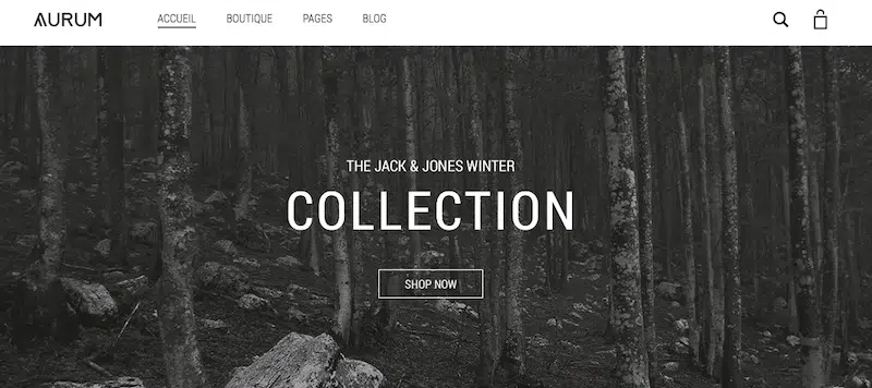 theme wordpress crsteer site ecommerce aurum