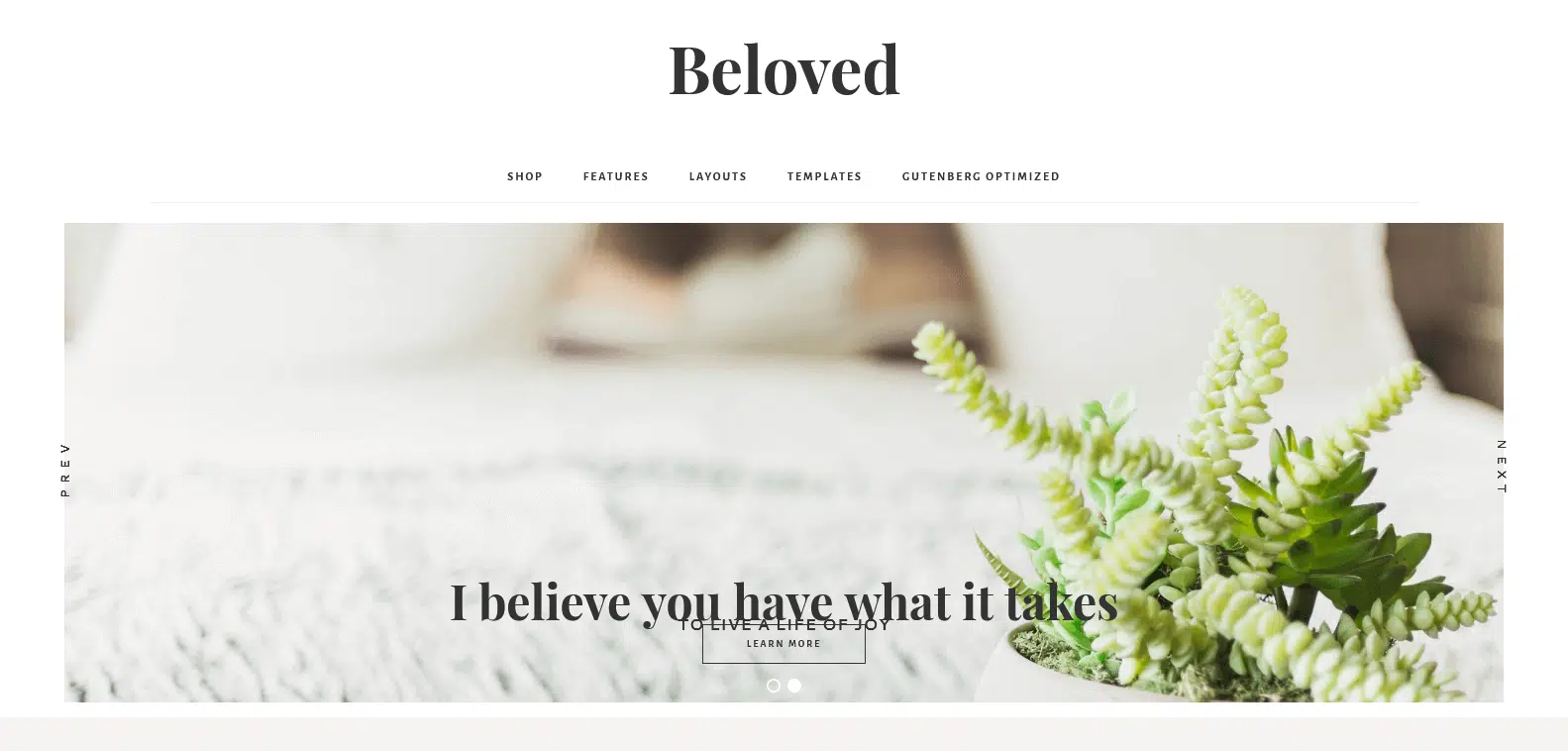 theme wordpress creer site ecommerce beloved