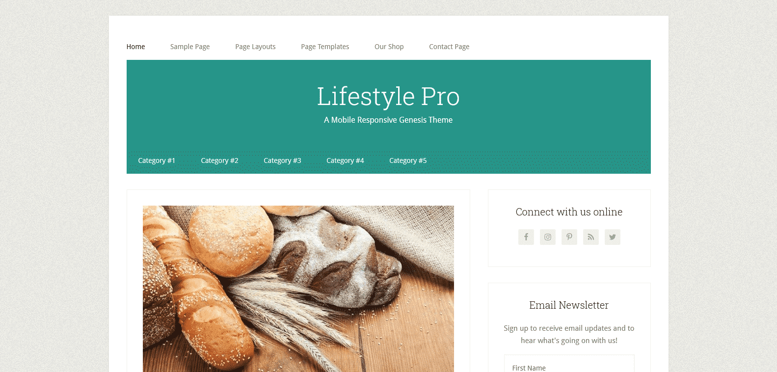theme wordpress creer site ecommerce lifestyle pro