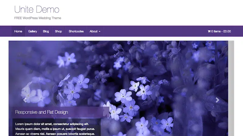 theme wordpress creer site ecommerce unite