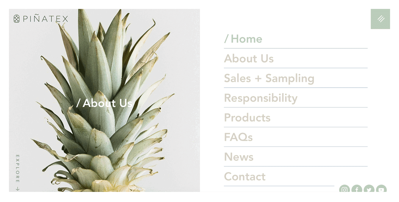 design minimaliste ananas