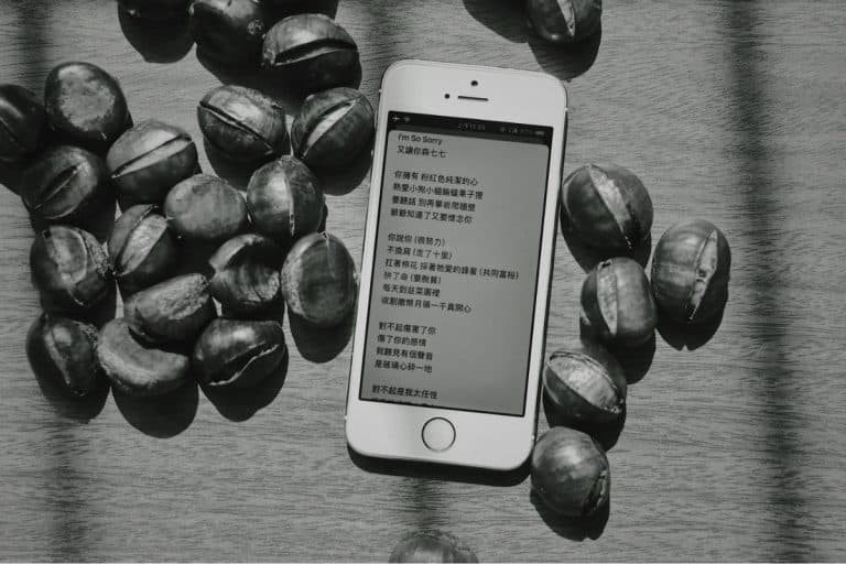 application hybrude vs native