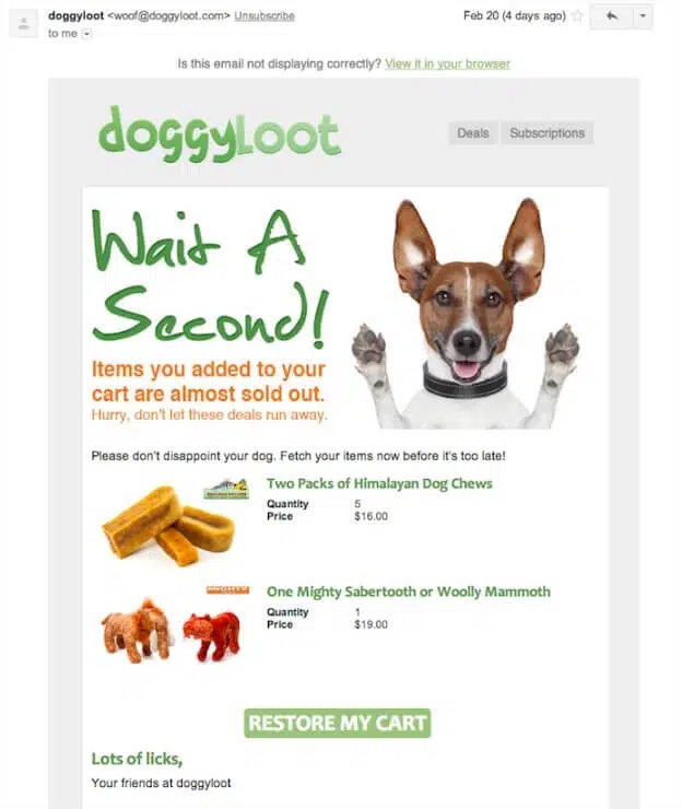 exemple d'email relance de panier abandonné doggyloot