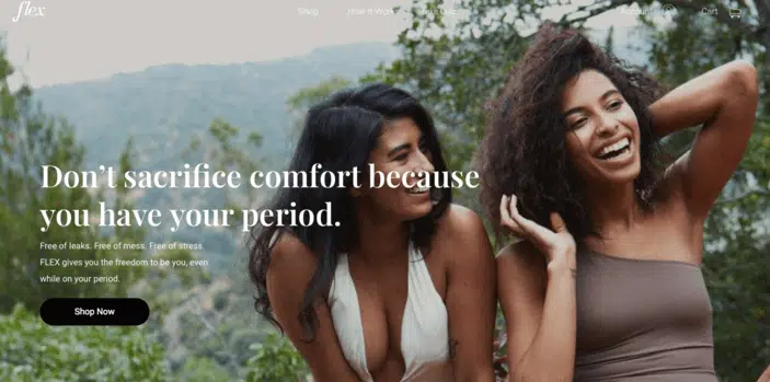 exemples sites shopify flex