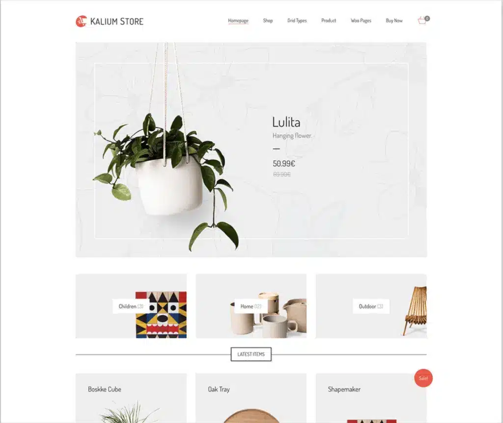 Site proposant plante suspendue et articles maison.