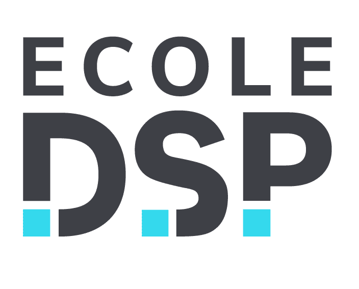 logo digital school paris