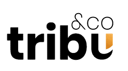logo-tribuandco-agence-site-joomla