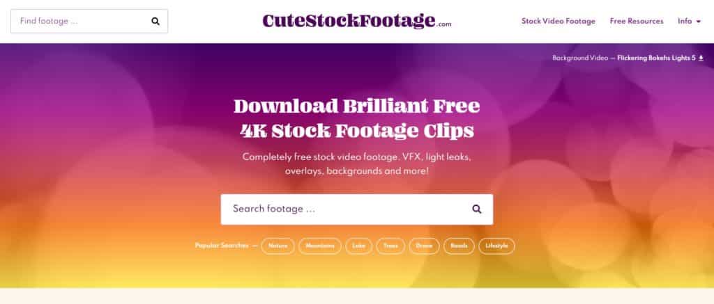 banque vidéos gratuites cute stock footage