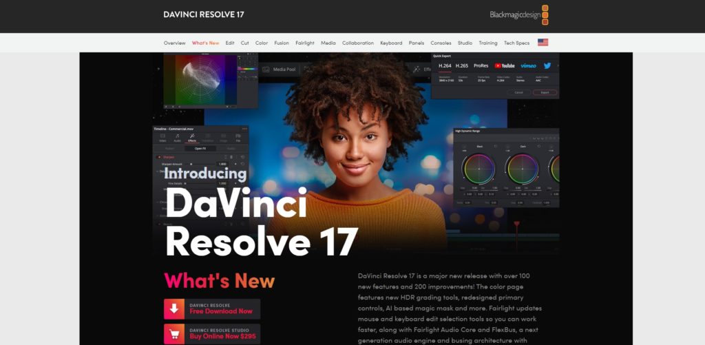 davinci resolve 17