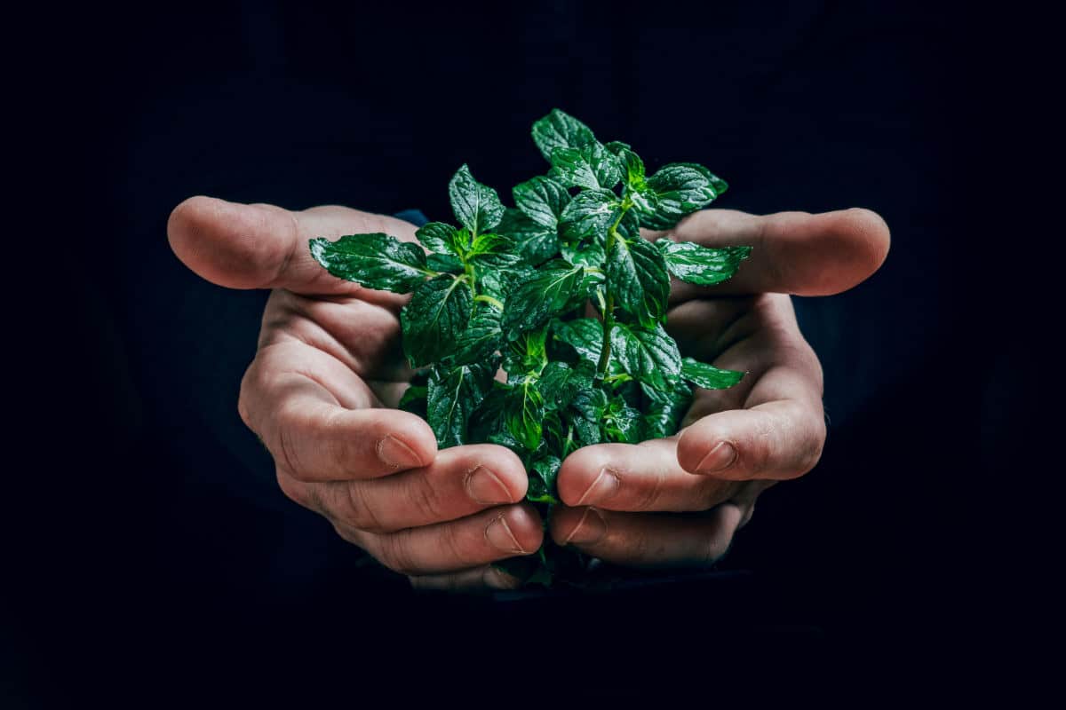 5 conseils pour réduire son impact environnemental sur Internet