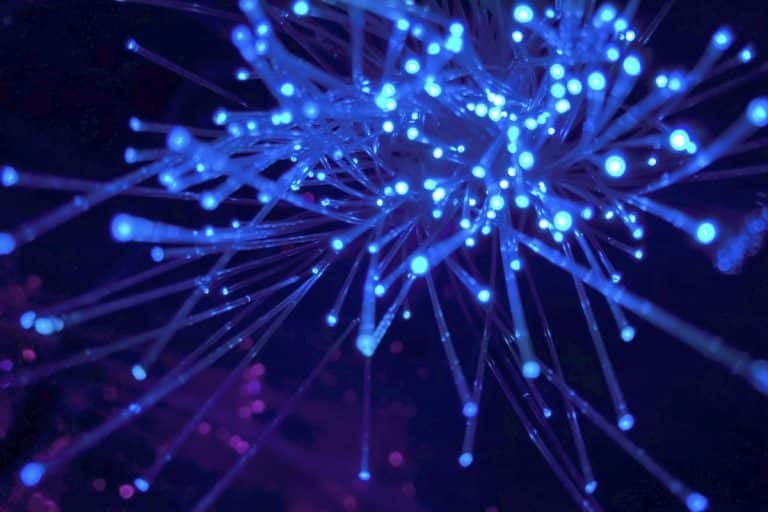 campagnes netlinking