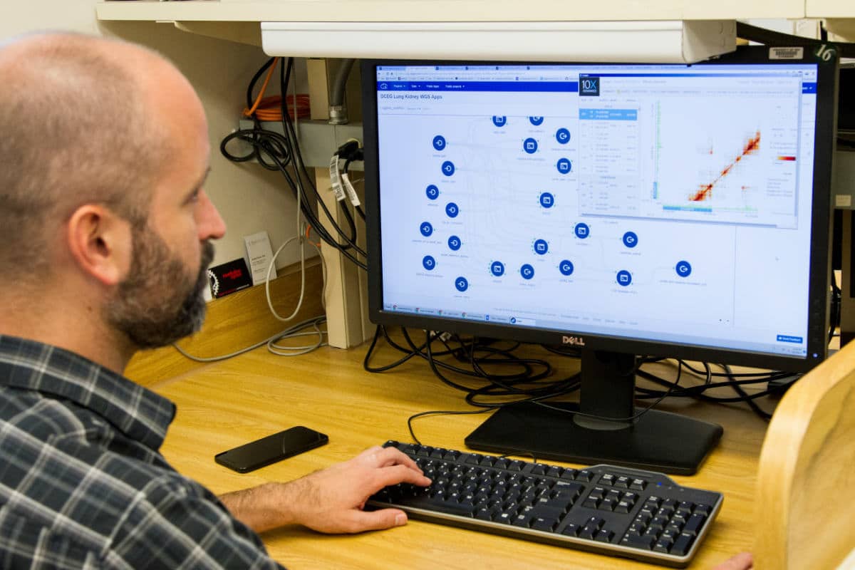 Data Scientist : décryptage d’un métier en plein essor