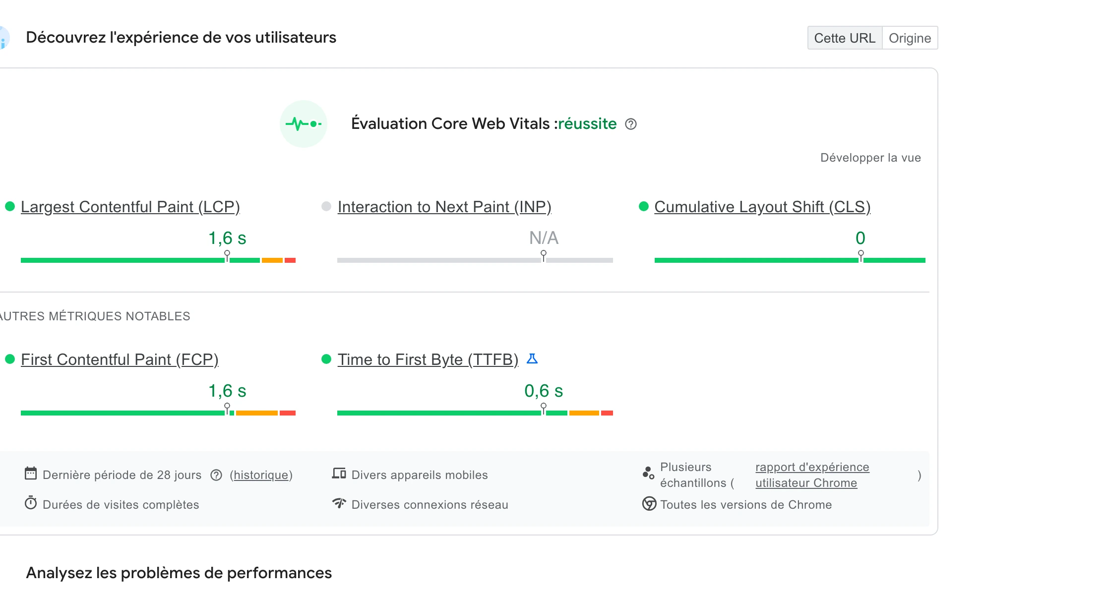 Rapport PageSpeed Insights des Core Web Vitals