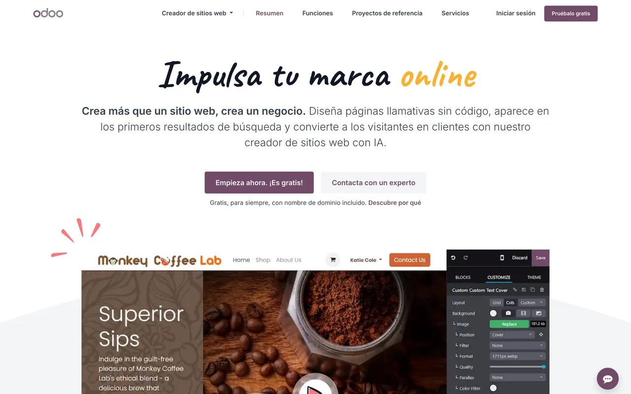 Creador de sitios web de Odoo en español