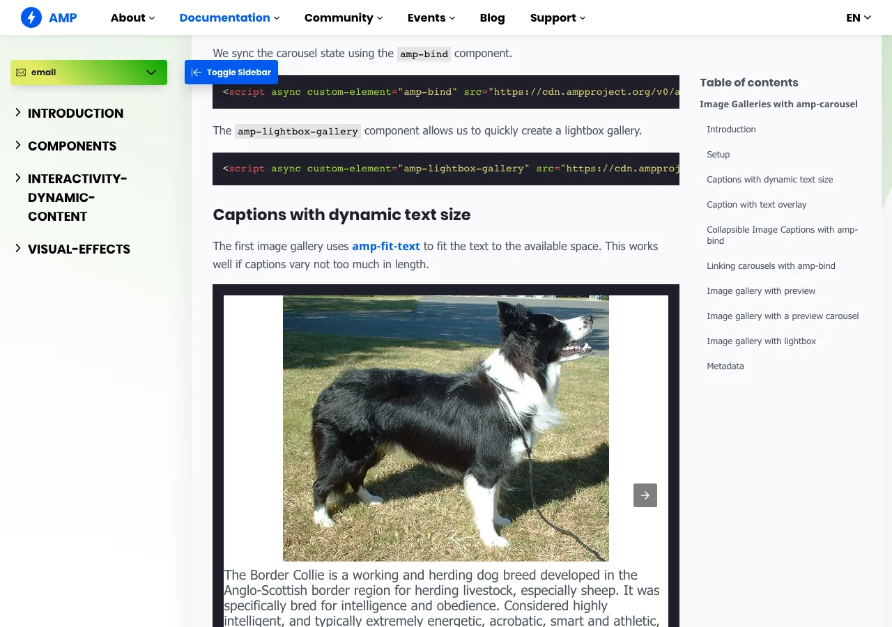 Capture d'une démonstration officielle amp.dev en juillet 2026 : un carrousel d'images rendu directement dans un email au format AMP, avec légende dynamique, l'exemple vivant de ce que le composant amp-carousel produit dans Gmail