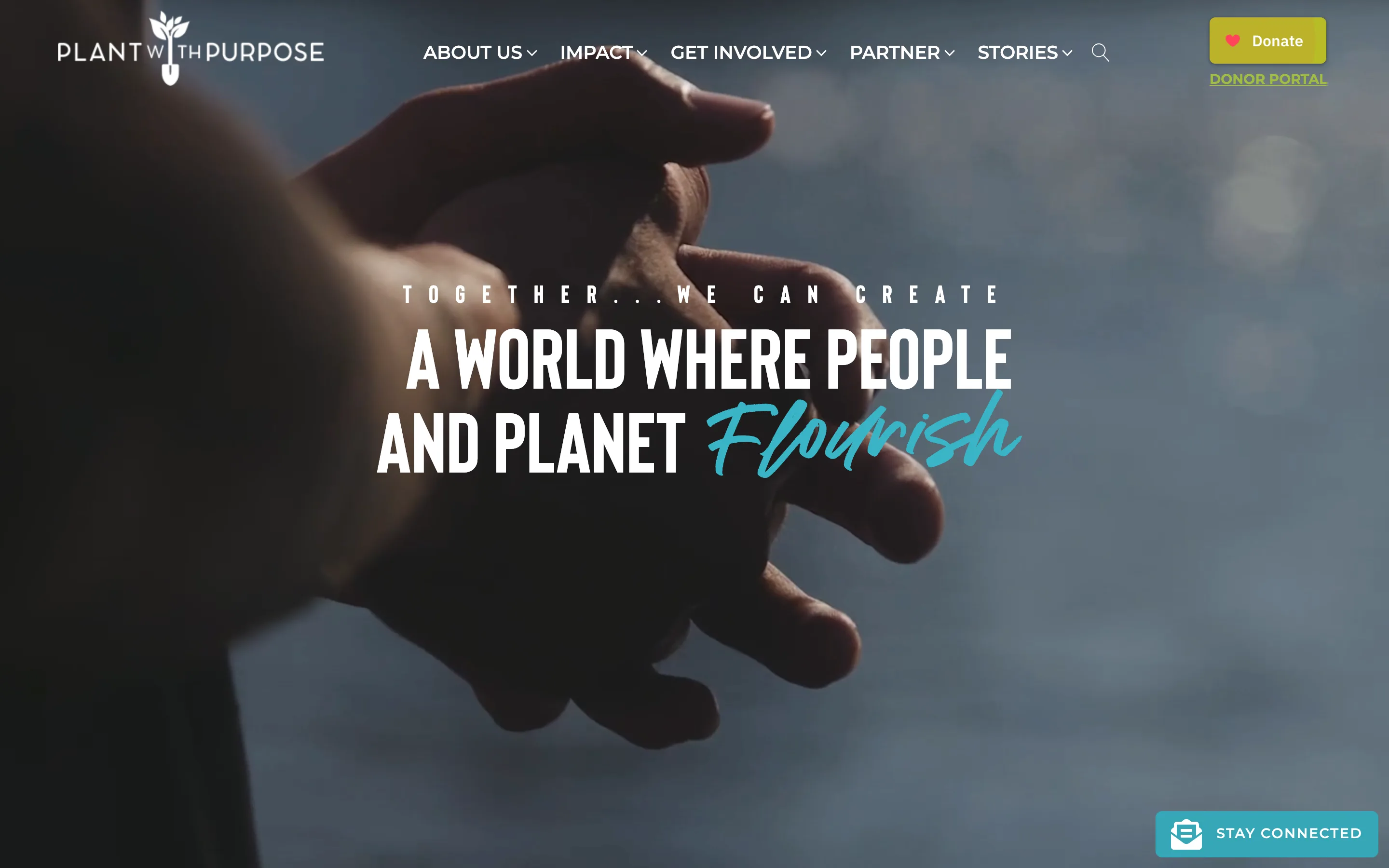 Site de l'ONG environnementale Plant with Purpose a l'identite verte