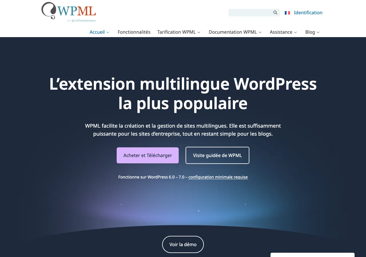 Page d'accueil de WPML, extension multilingue pour WordPress