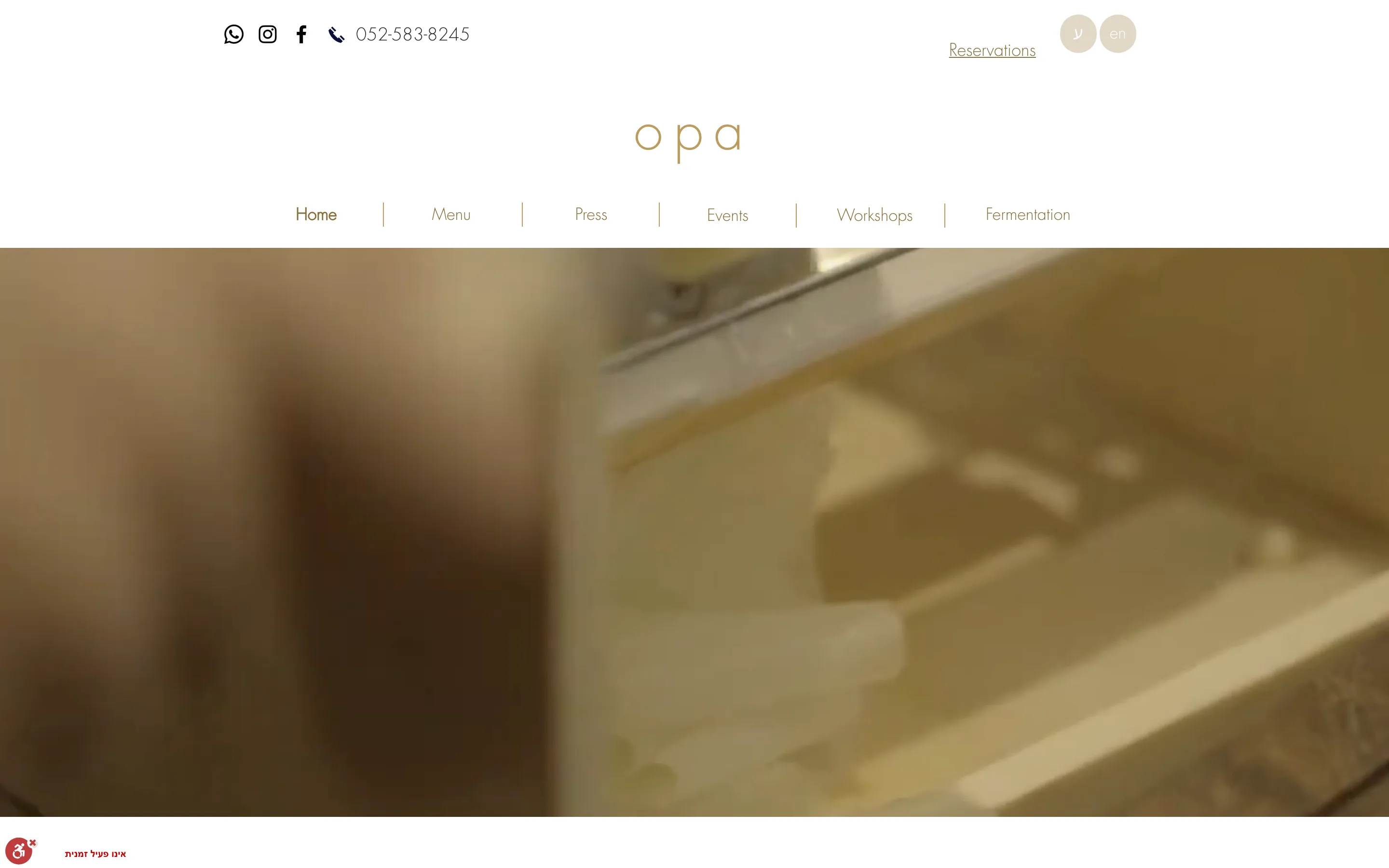 Site du restaurant vegan Opa à Tel Aviv, réalisé avec Wix.