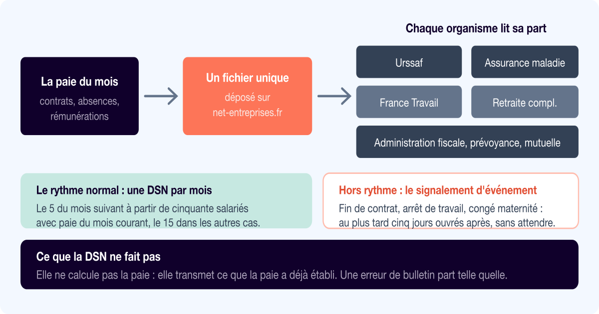 Déclaration sociale nominative : ce qu'est la DSN et ce qu'elle engage