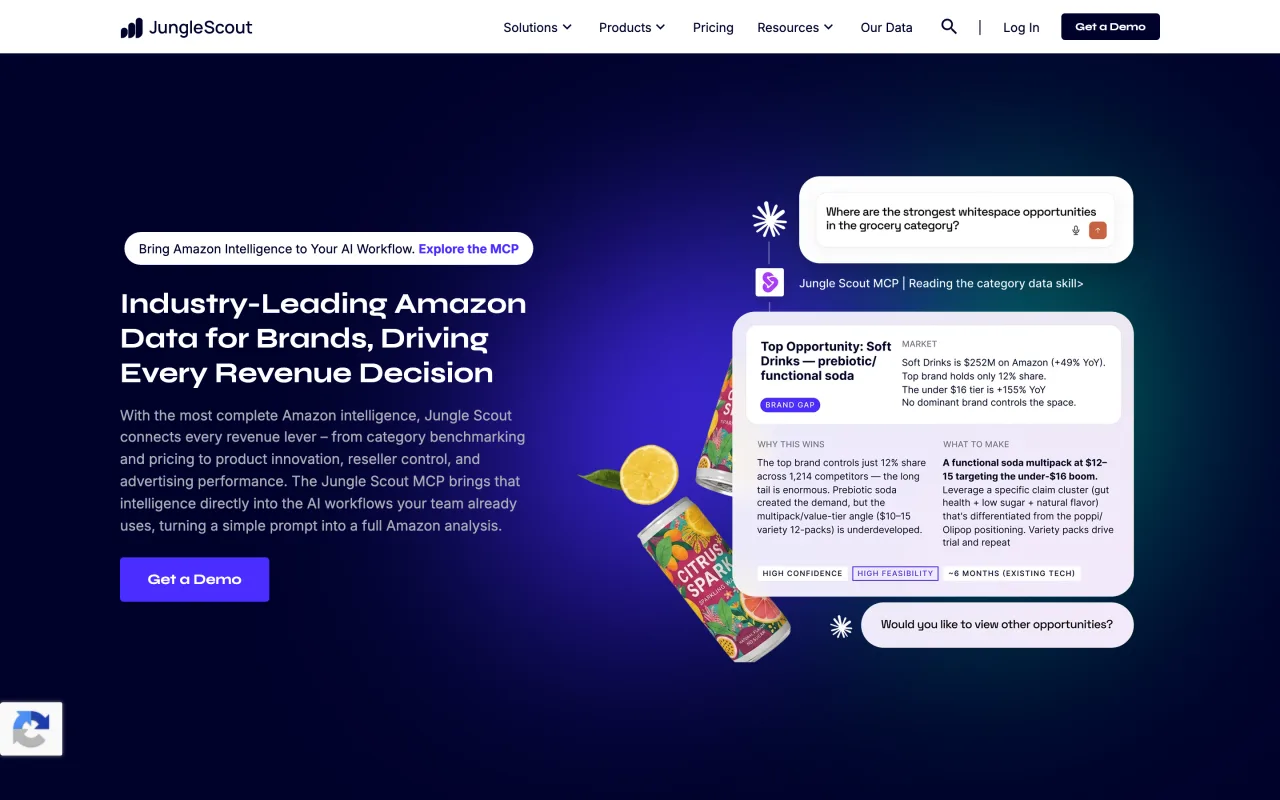 Page d'accueil de Jungle Scout, outil d'analyse de marché Amazon, capturée le 19 octobre 2026
