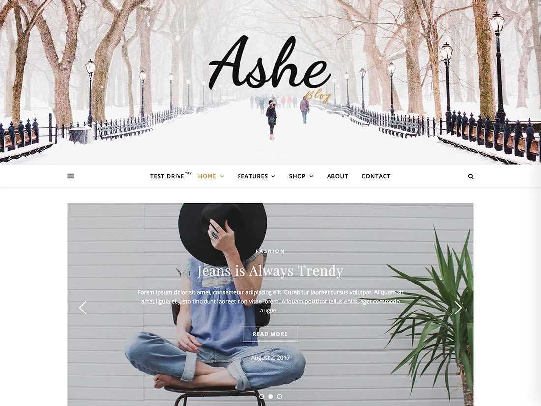 Tema gratuito de WordPress Ashe
