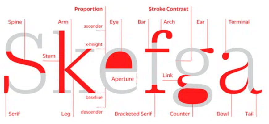 Partes de la tipografía